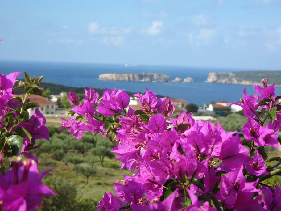 Gianna'S Guesthouse Pylos Exteriér fotografie
